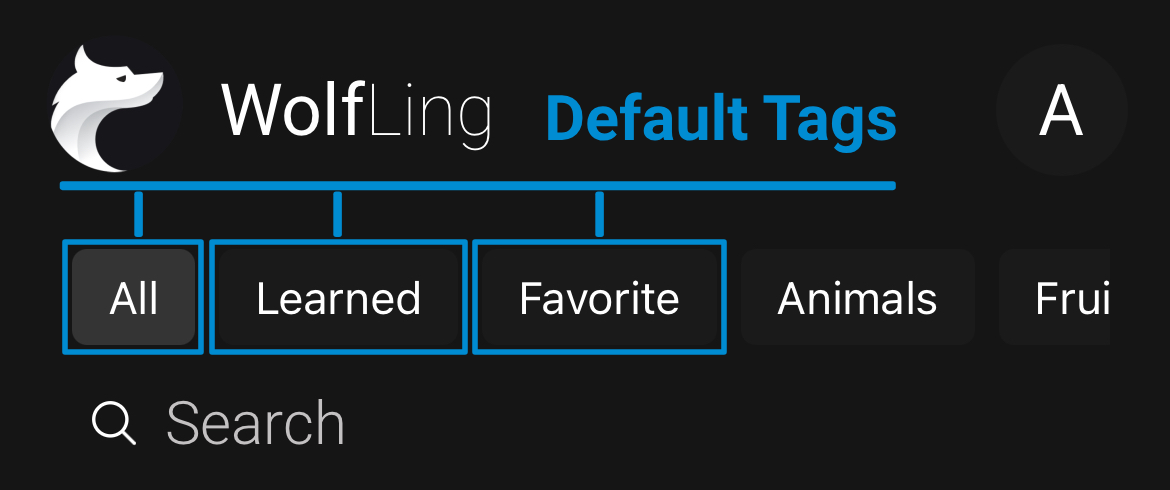 Tags Section